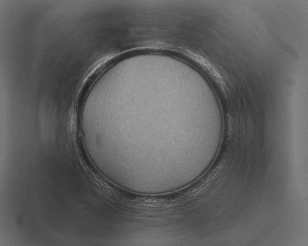 X0000116591318200912291300