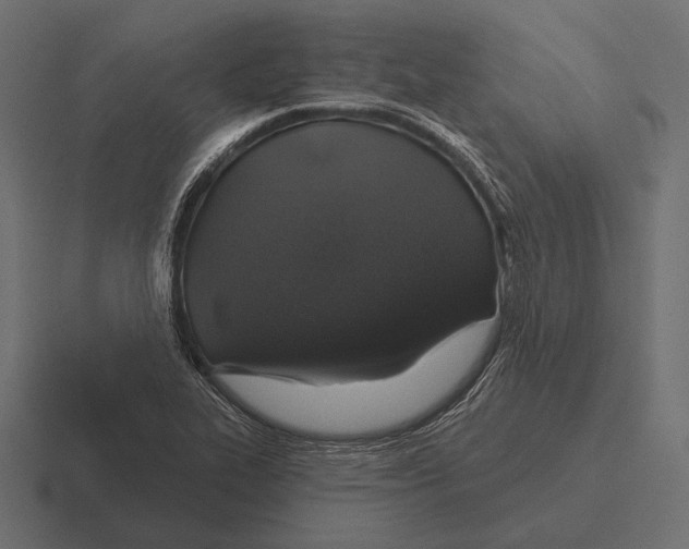 X0000116591319200912291300