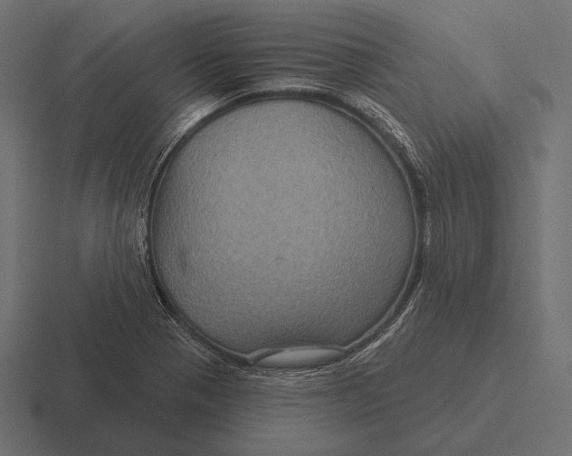 X0000116591321200912291300