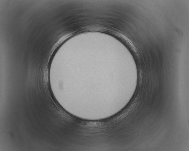 X0000116591322200912291300