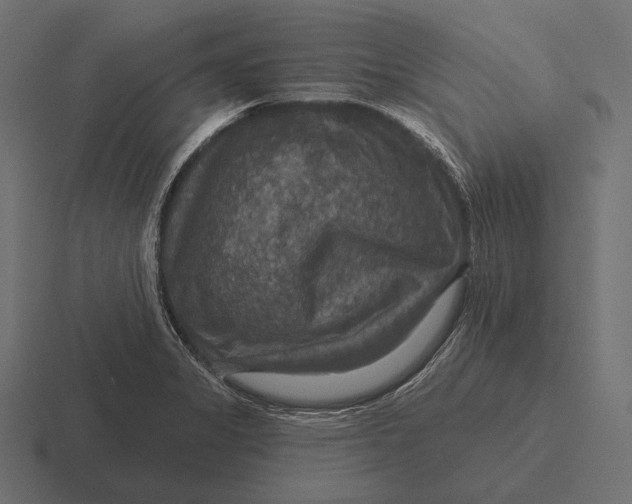 X0000116591325200912291300