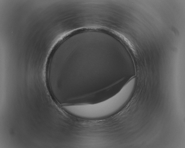 X0000116591327200912291300