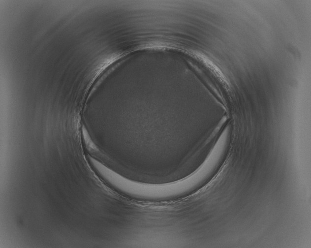 X0000116591329200912291300