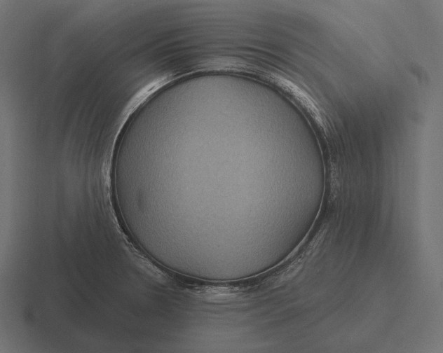 X0000116591330200912291300