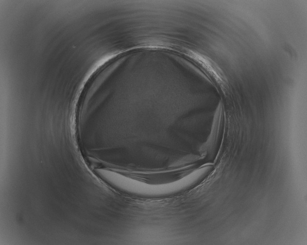 X0000116591331200912291300