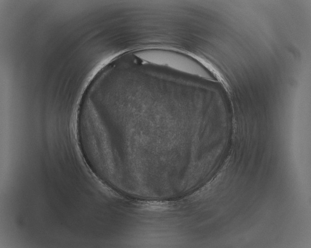 X0000116591333200912291300