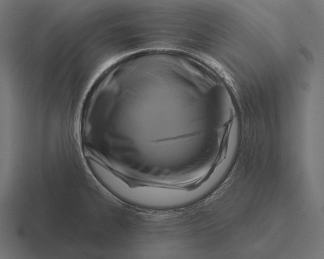 X0000116591334200912291300