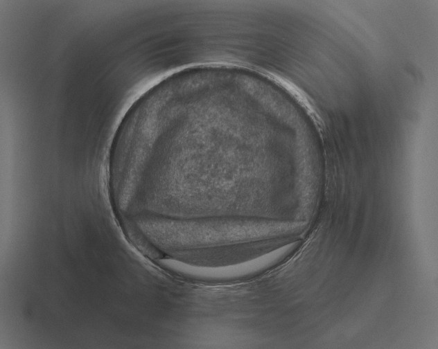 X0000116591335200912291300