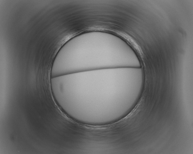 X0000116591337200912291300