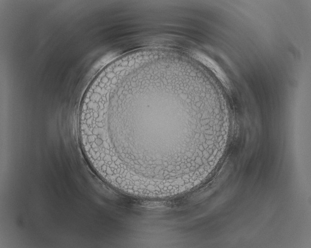 X0000116591338200912291300