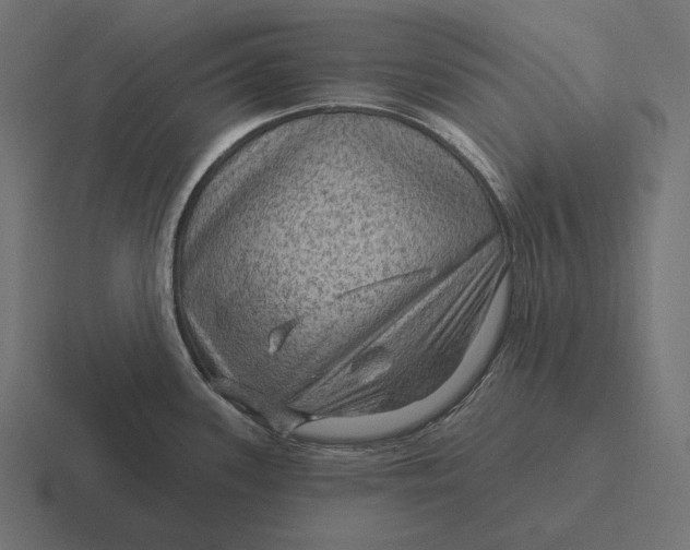 X0000116591339200912291300