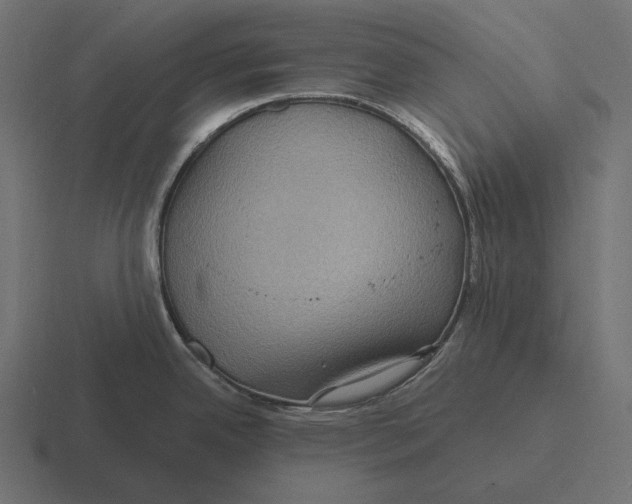 X0000116591342200912291301