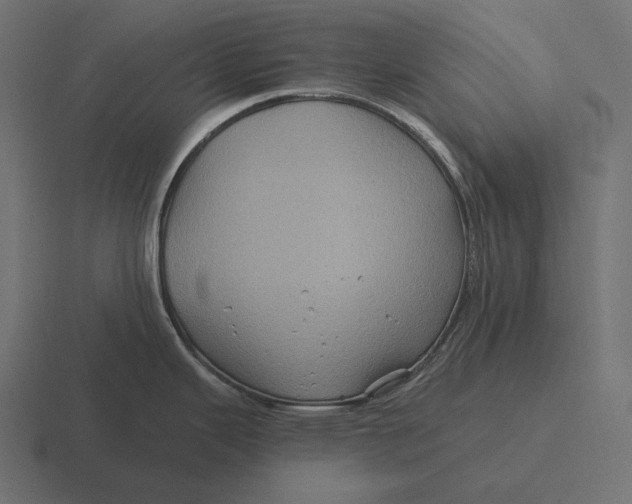 X0000116591343200912291301