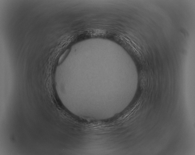 X0000116591345200912291300