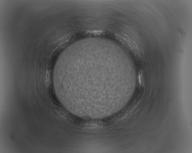 X0000116591347200912291300