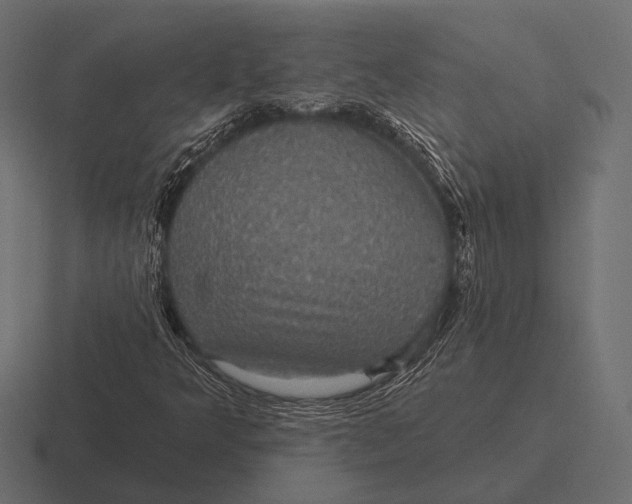 X0000116591349200912291300