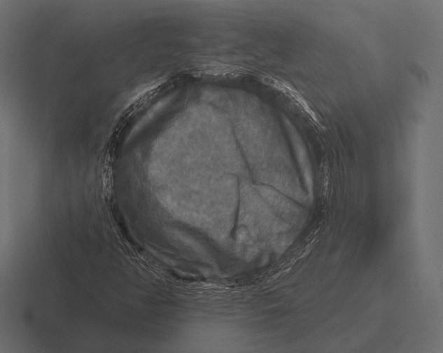 X0000116591350200912291300