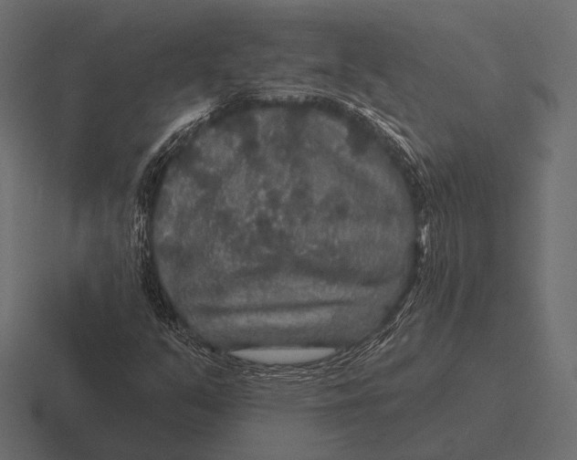 X0000116591351200912291300