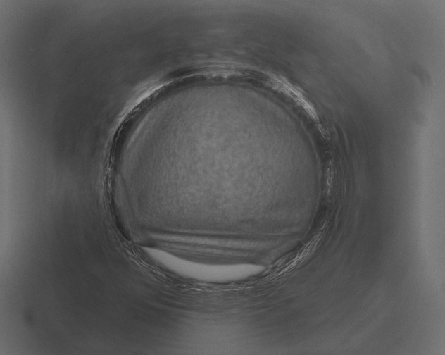 X0000116591352200912291300