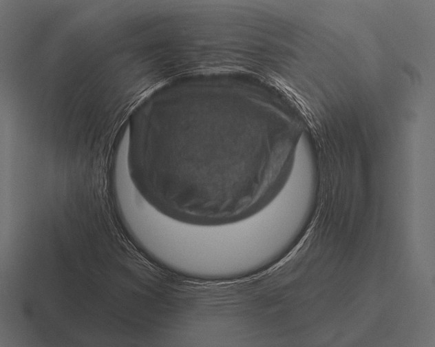 X0000116591353200912291300