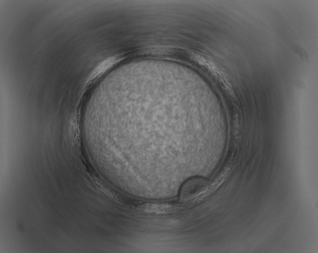 X0000116591354200912291300