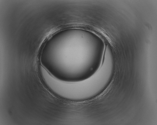 X0000116591357200912291300