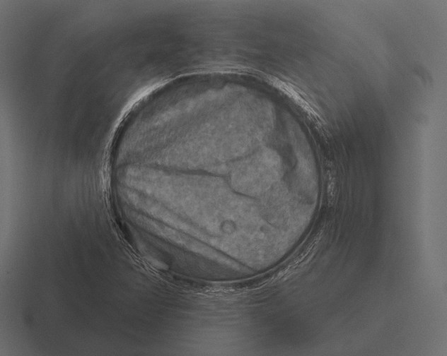 X0000116591358200912291300