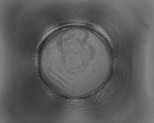 X0000116591360200912291300