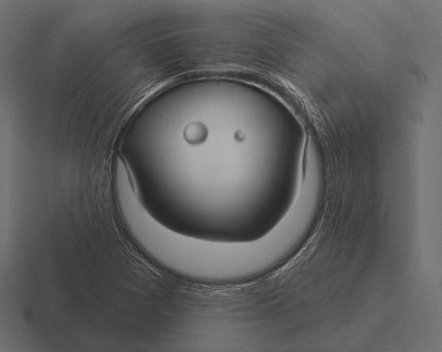 X0000116591361200912291300