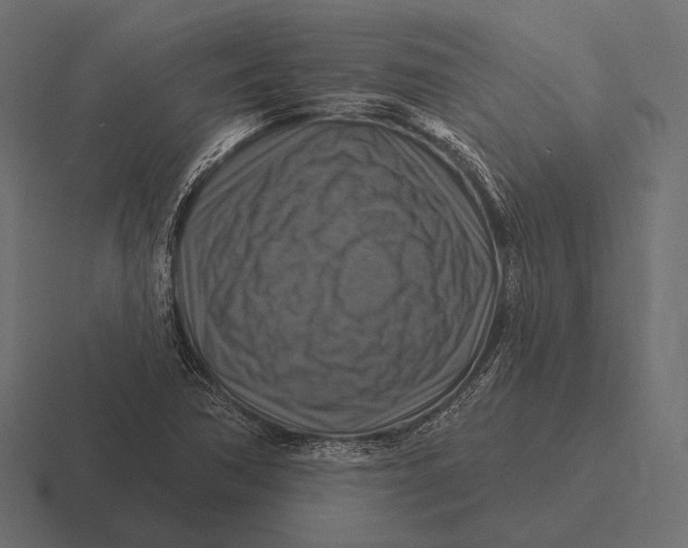 X0000116591362200912291300