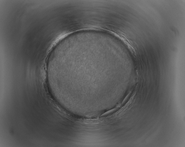 X0000116591363200912291300