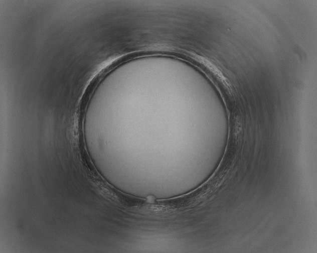 X0000116591364200912291300