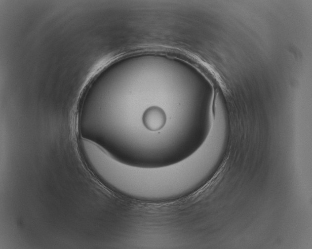 X0000116591365200912291300