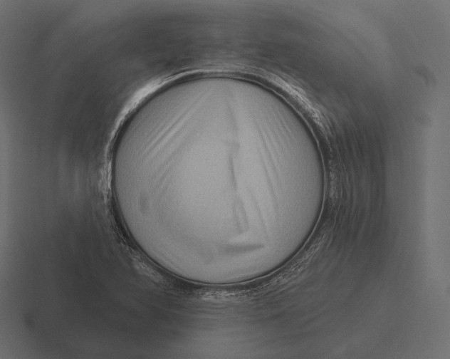 X0000116591366200912291300