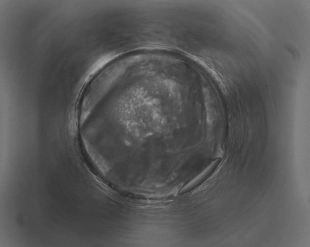 X0000116591367200912291300