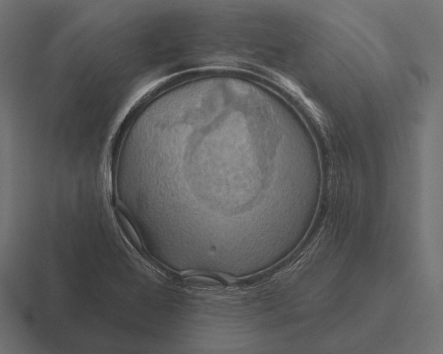 X0000116591368200912291300