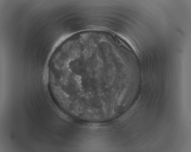 X0000116591371200912291300