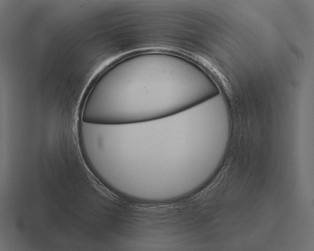 X0000116591372200912291300