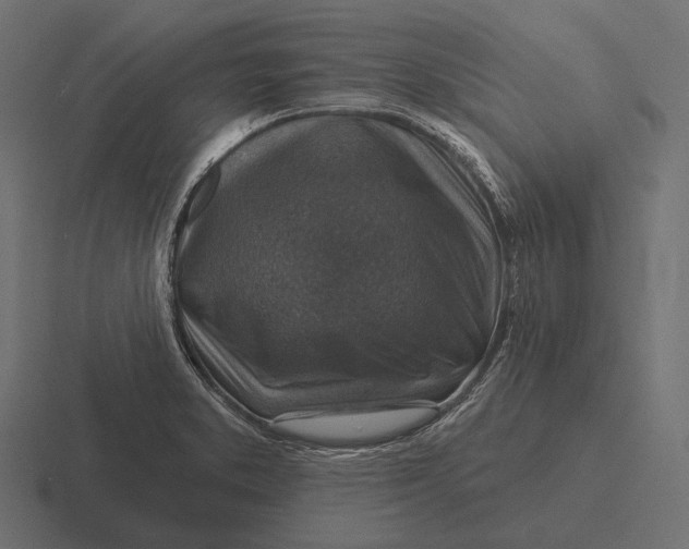 X0000116591373200912291300