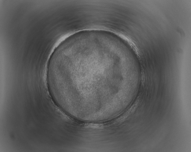 X0000116591374200912291300