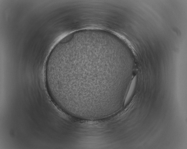 X0000116591375200912291300