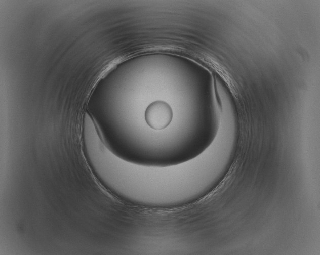 X0000116591377200912291300