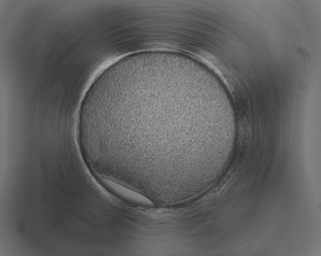 X0000116591379200912291300