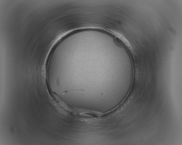 X0000116591380200912291259