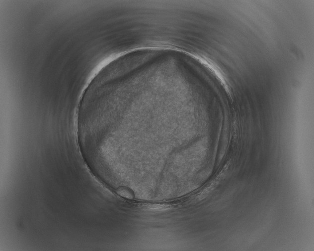 X0000116591382200912291259