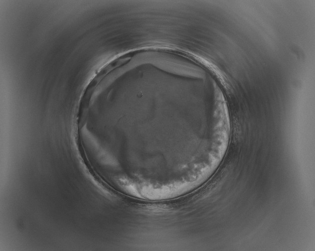 X0000116591383200912291259