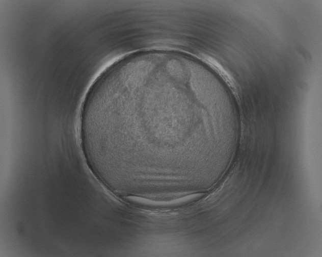 X0000116591384200912291259