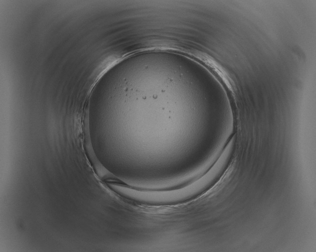 X0000116591385200912291259