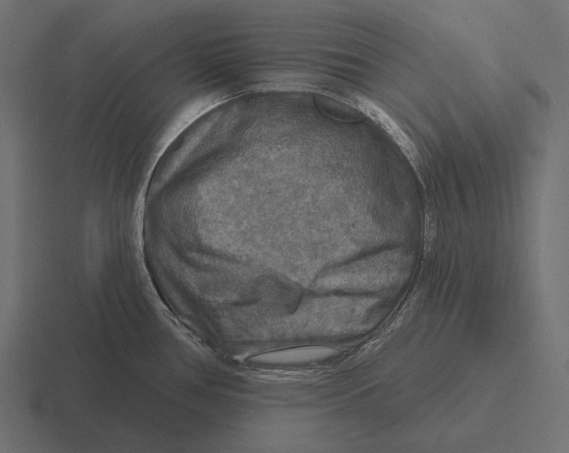 X0000116591386200912291259