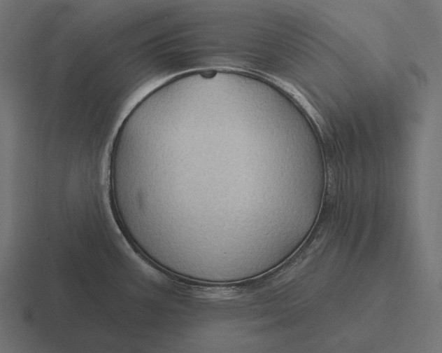 X0000116591387200912291259